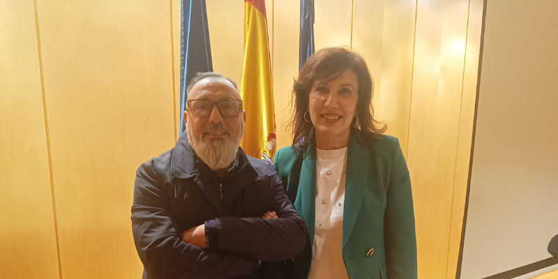Pleno del Consejo Escolar del Principado de Asturias